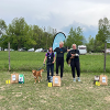 Agility tekmovanje 19. april 2026