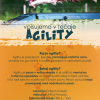 Agility Koseze